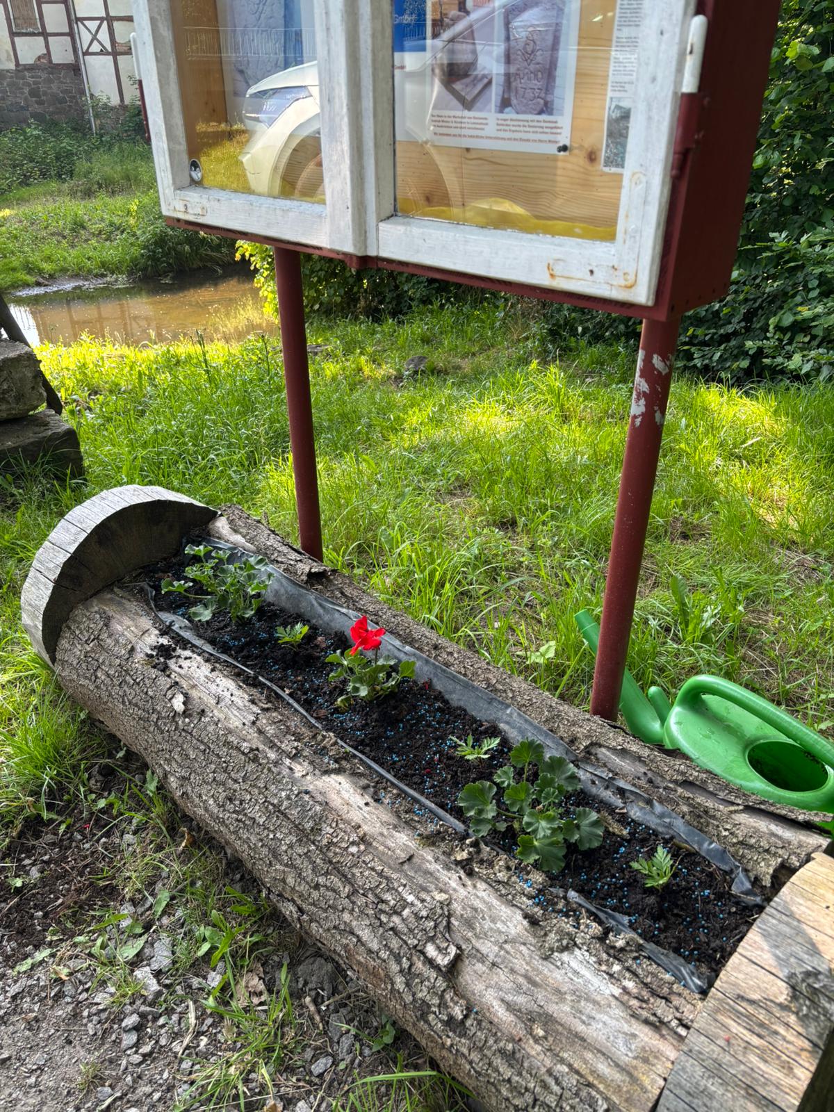 Neue Beetbepflanzung